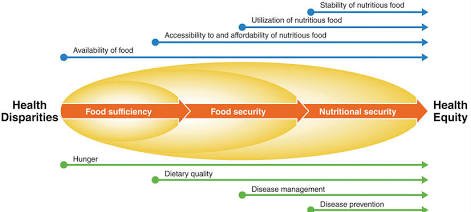 What is the Difference between Food Security and Nutrition Security: Explained 4 17843833887208063238345700865187