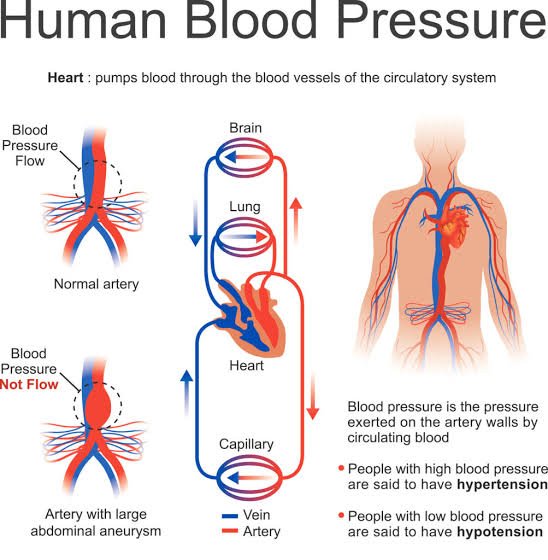 Natural Approaches to Support Healthy Blood Pressure: Evidence-Based Lifestyle Tips and Supplements Amazing 3 17866463138248693919430836150593