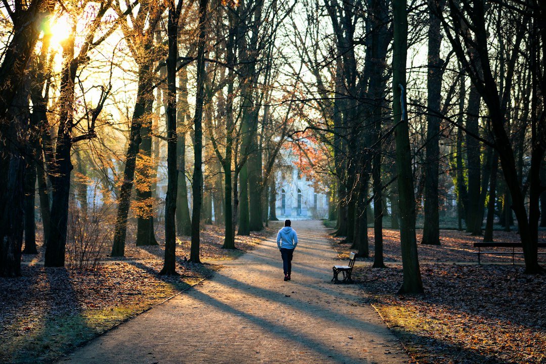 Top Health Topics Searched in the US, UK, Canada and Australia in 2026 4 Person walking along a tree-lined path at sunset